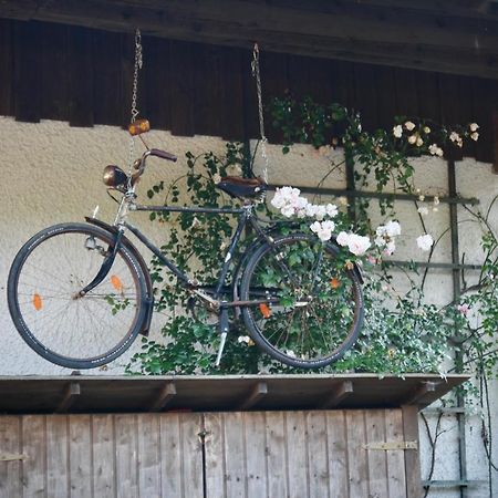 Gartenwohnung Im Gut Sonnenwald Schollnach Экстерьер фото