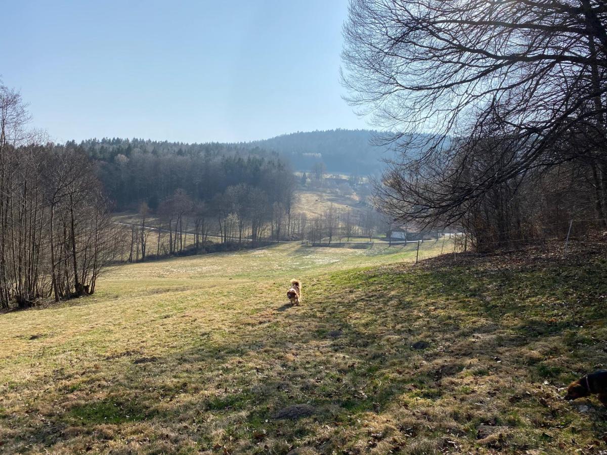 Gartenwohnung Im Gut Sonnenwald Schollnach Экстерьер фото